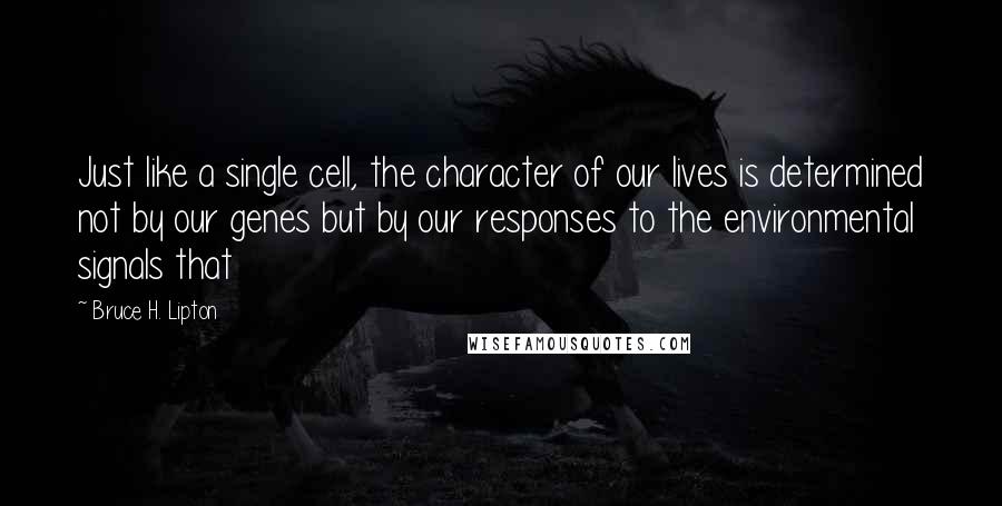 Bruce H. Lipton Quotes: Just like a single cell, the character of our lives is determined not by our genes but by our responses to the environmental signals that