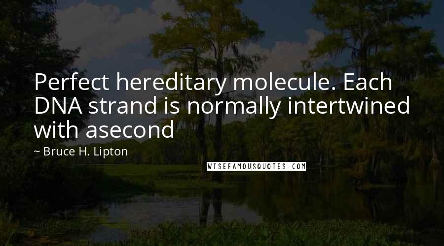 Bruce H. Lipton Quotes: Perfect hereditary molecule. Each DNA strand is normally intertwined with asecond