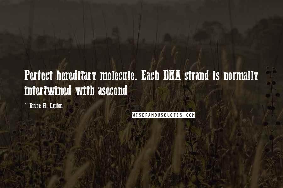 Bruce H. Lipton Quotes: Perfect hereditary molecule. Each DNA strand is normally intertwined with asecond