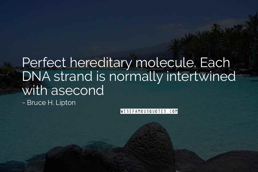 Bruce H. Lipton Quotes: Perfect hereditary molecule. Each DNA strand is normally intertwined with asecond