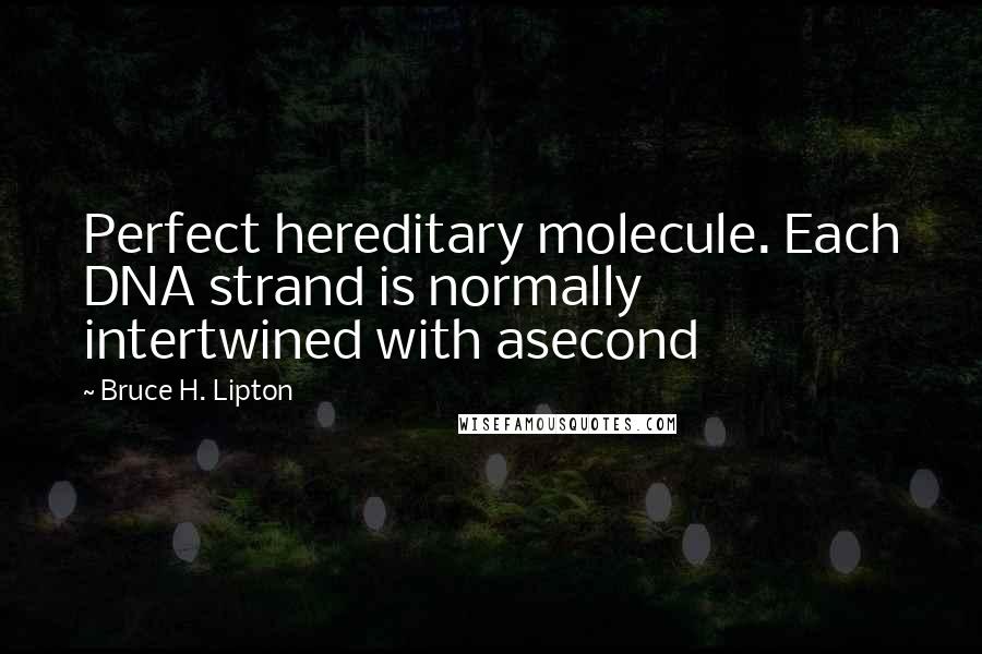 Bruce H. Lipton Quotes: Perfect hereditary molecule. Each DNA strand is normally intertwined with asecond