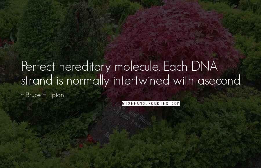 Bruce H. Lipton Quotes: Perfect hereditary molecule. Each DNA strand is normally intertwined with asecond