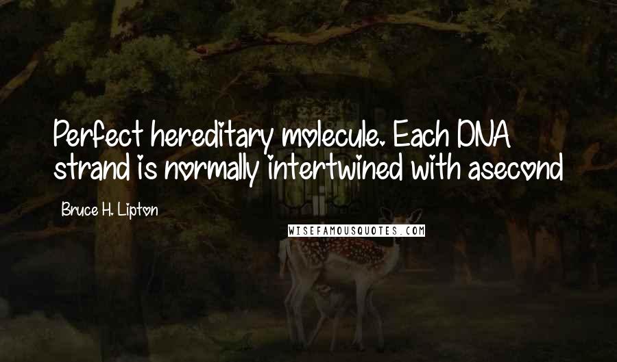 Bruce H. Lipton Quotes: Perfect hereditary molecule. Each DNA strand is normally intertwined with asecond