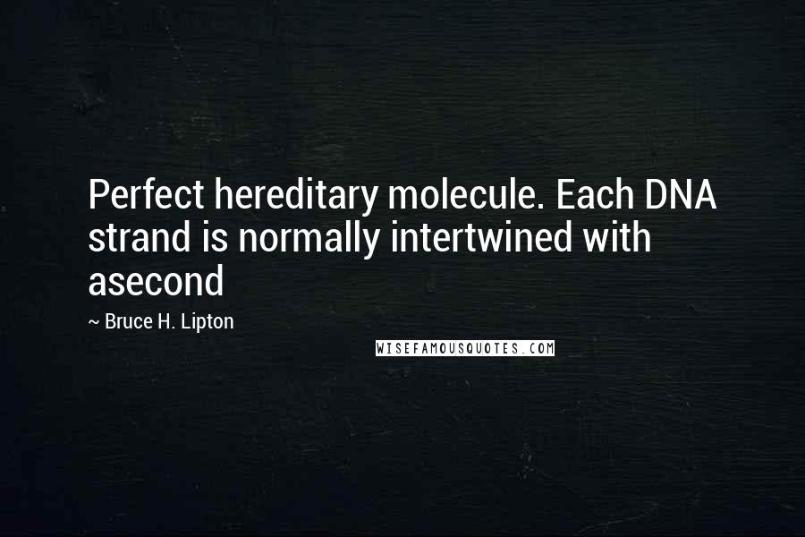 Bruce H. Lipton Quotes: Perfect hereditary molecule. Each DNA strand is normally intertwined with asecond