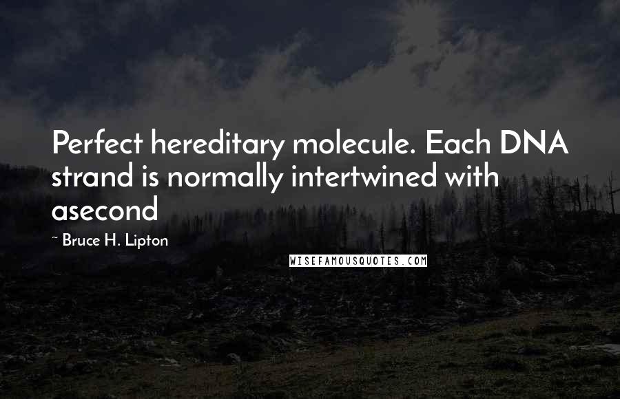 Bruce H. Lipton Quotes: Perfect hereditary molecule. Each DNA strand is normally intertwined with asecond