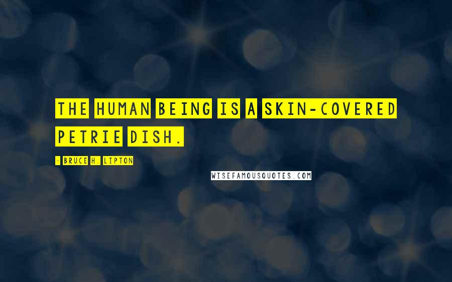 Bruce H. Lipton Quotes: The human being is a skin-covered petrie dish.