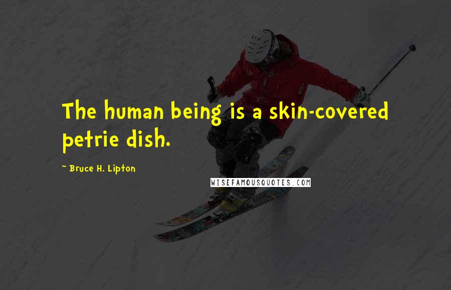 Bruce H. Lipton Quotes: The human being is a skin-covered petrie dish.