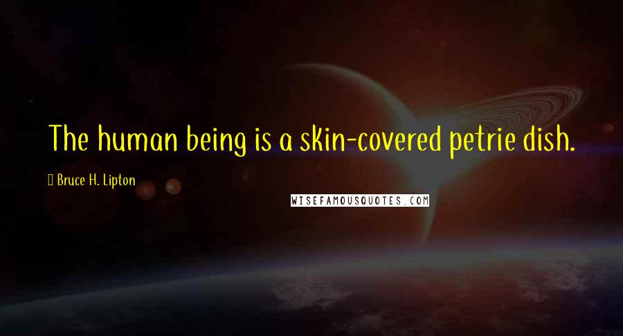 Bruce H. Lipton Quotes: The human being is a skin-covered petrie dish.