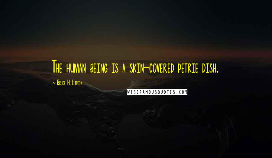 Bruce H. Lipton Quotes: The human being is a skin-covered petrie dish.