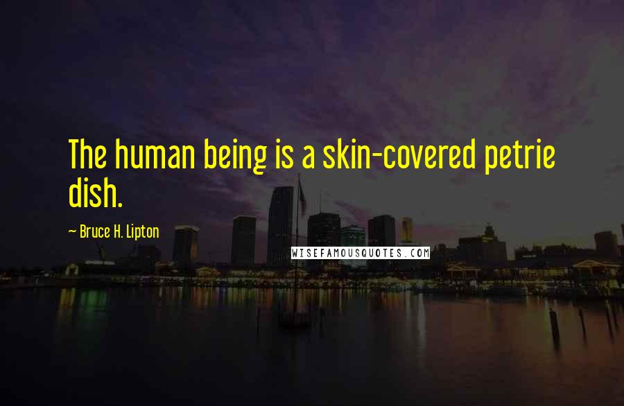 Bruce H. Lipton Quotes: The human being is a skin-covered petrie dish.