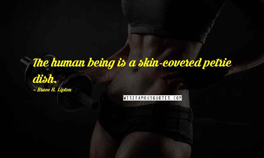 Bruce H. Lipton Quotes: The human being is a skin-covered petrie dish.