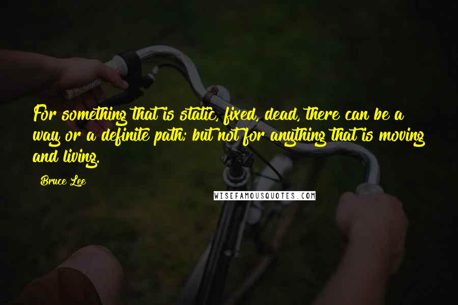 Bruce Lee Quotes: For something that is static, fixed, dead, there can be a way or a definite path; but not for anything that is moving and living.