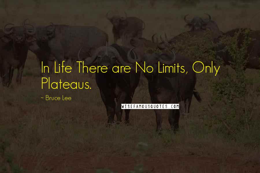 Bruce Lee Quotes: In Life There are No Limits, Only Plateaus.