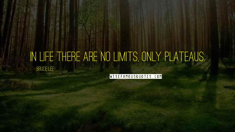 Bruce Lee Quotes: In Life There are No Limits, Only Plateaus.