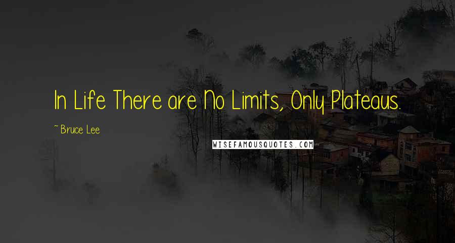 Bruce Lee Quotes: In Life There are No Limits, Only Plateaus.