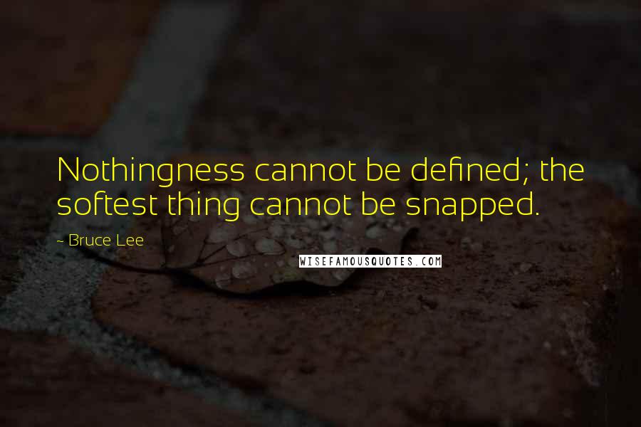 Bruce Lee Quotes: Nothingness cannot be defined; the softest thing cannot be snapped.