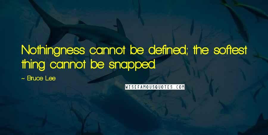 Bruce Lee Quotes: Nothingness cannot be defined; the softest thing cannot be snapped.