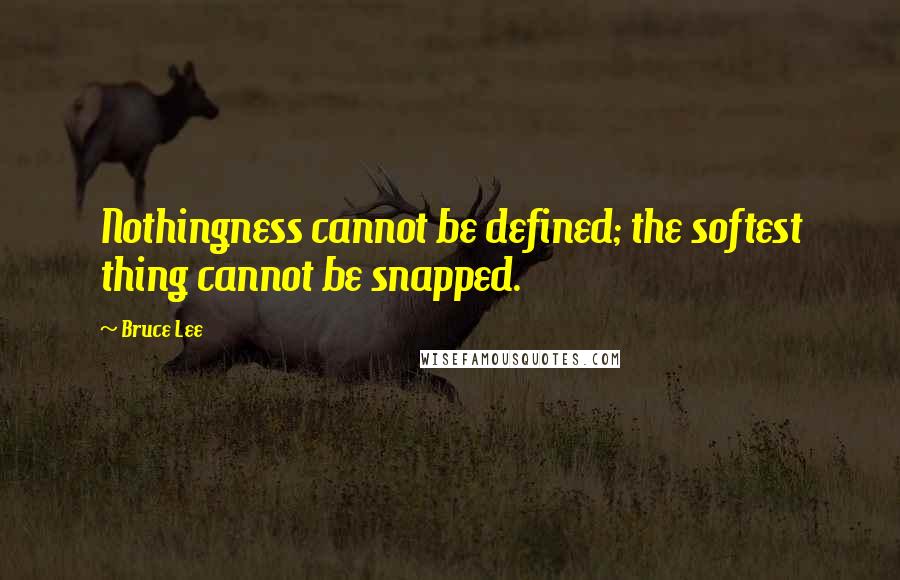 Bruce Lee Quotes: Nothingness cannot be defined; the softest thing cannot be snapped.