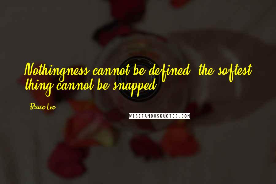 Bruce Lee Quotes: Nothingness cannot be defined; the softest thing cannot be snapped.