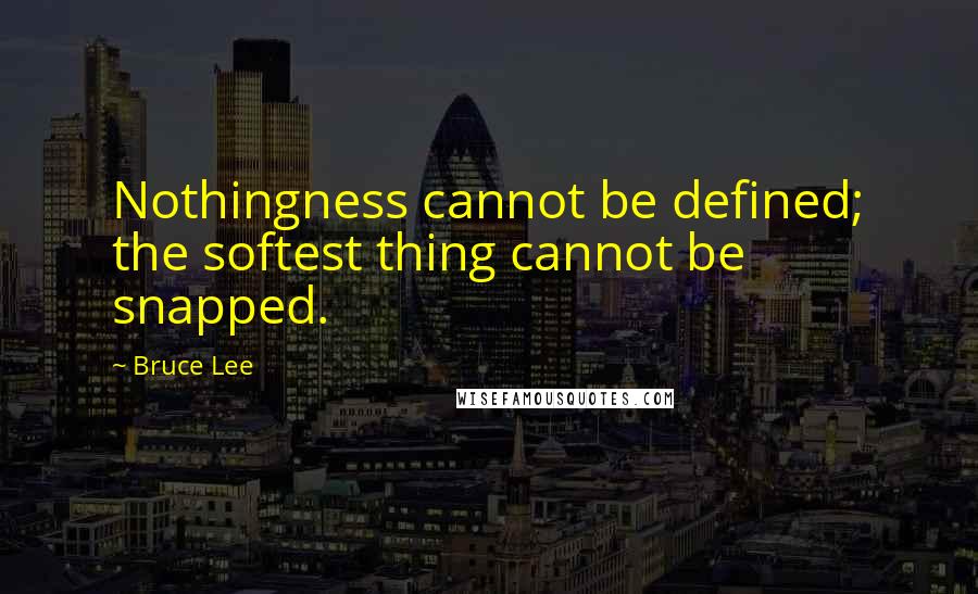 Bruce Lee Quotes: Nothingness cannot be defined; the softest thing cannot be snapped.