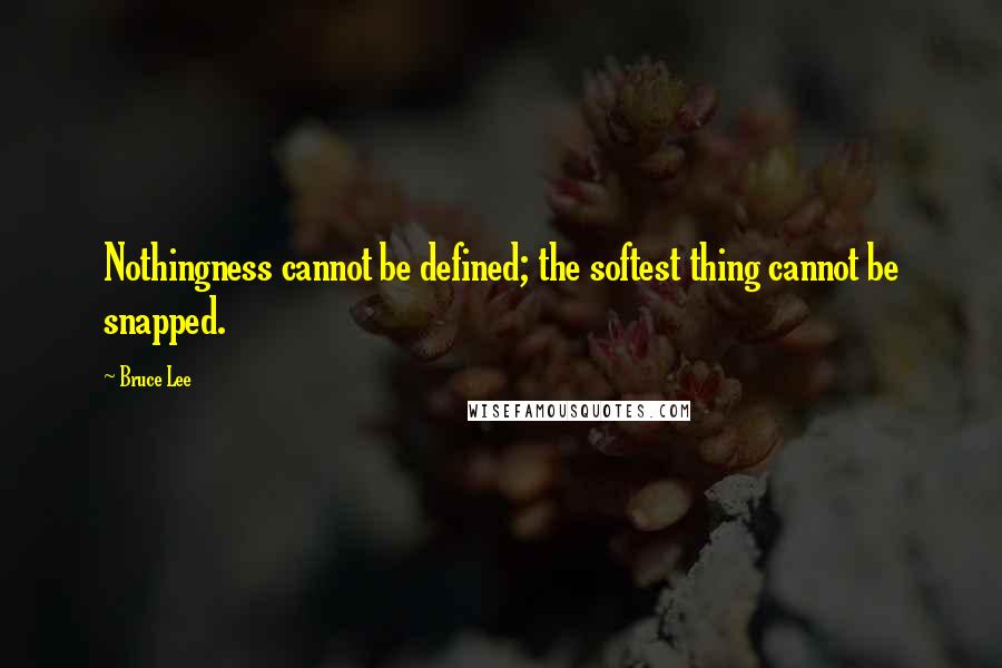 Bruce Lee Quotes: Nothingness cannot be defined; the softest thing cannot be snapped.