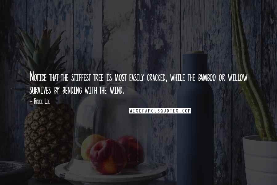 Bruce Lee Quotes: Notice that the stiffest tree is most easily cracked, while the bamboo or willow survives by bending with the wind.