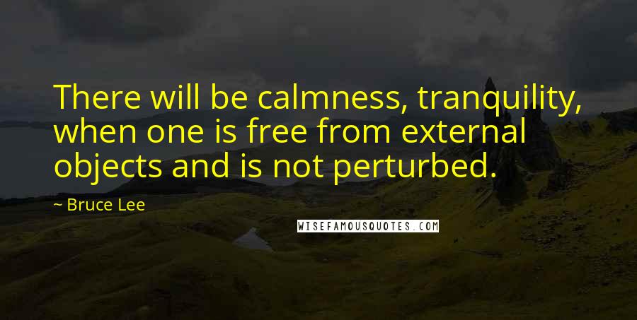 Bruce Lee Quotes: There will be calmness, tranquility, when one is free from external objects and is not perturbed.