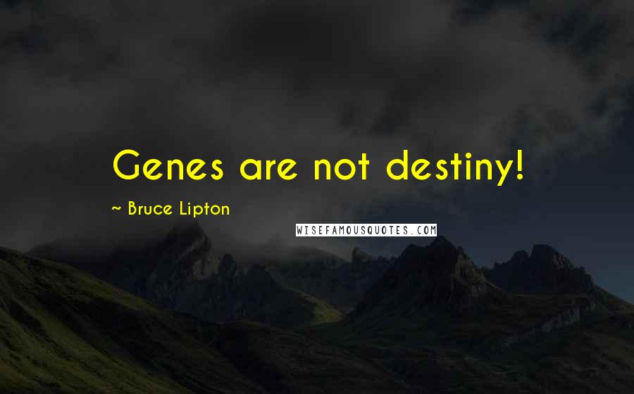 Bruce Lipton Quotes: Genes are not destiny!