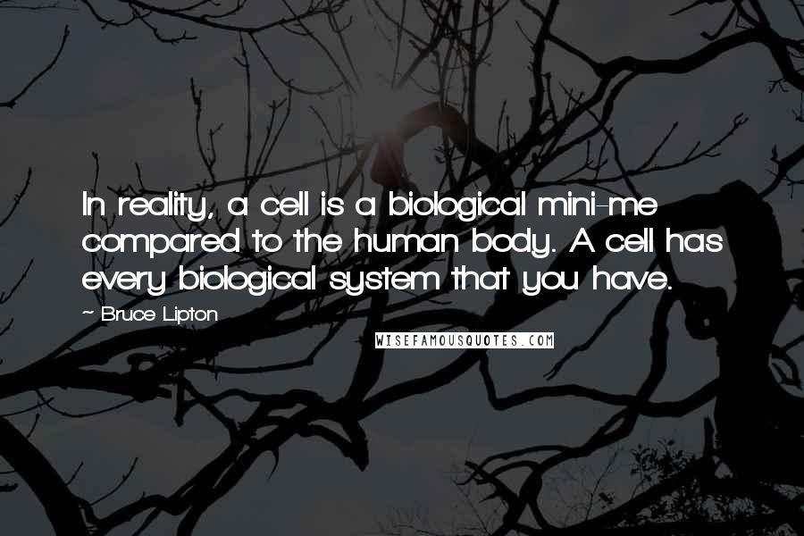 Bruce Lipton Quotes: In reality, a cell is a biological mini-me compared to the human body. A cell has every biological system that you have.