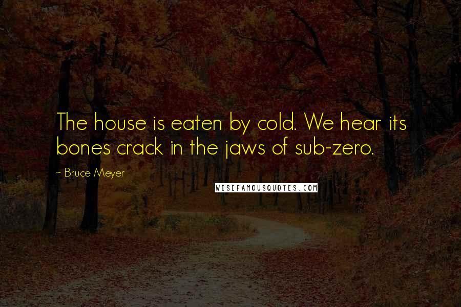 Bruce Meyer Quotes: The house is eaten by cold. We hear its bones crack in the jaws of sub-zero.