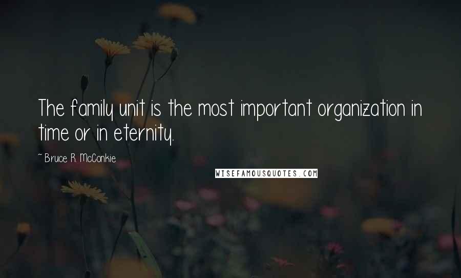 Bruce R. McConkie Quotes: The family unit is the most important organization in time or in eternity.