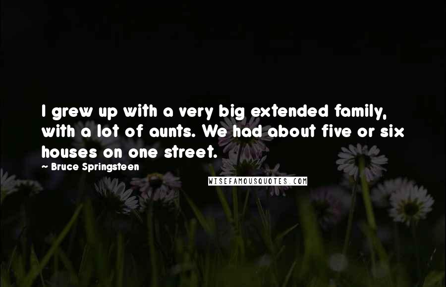 Bruce Springsteen Quotes: I grew up with a very big extended family, with a lot of aunts. We had about five or six houses on one street.