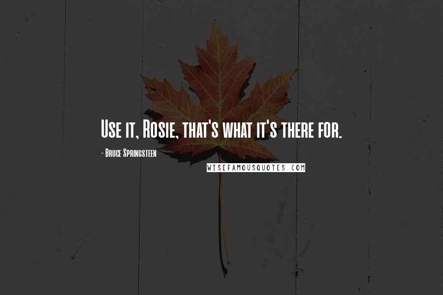 Bruce Springsteen Quotes: Use it, Rosie, that's what it's there for.