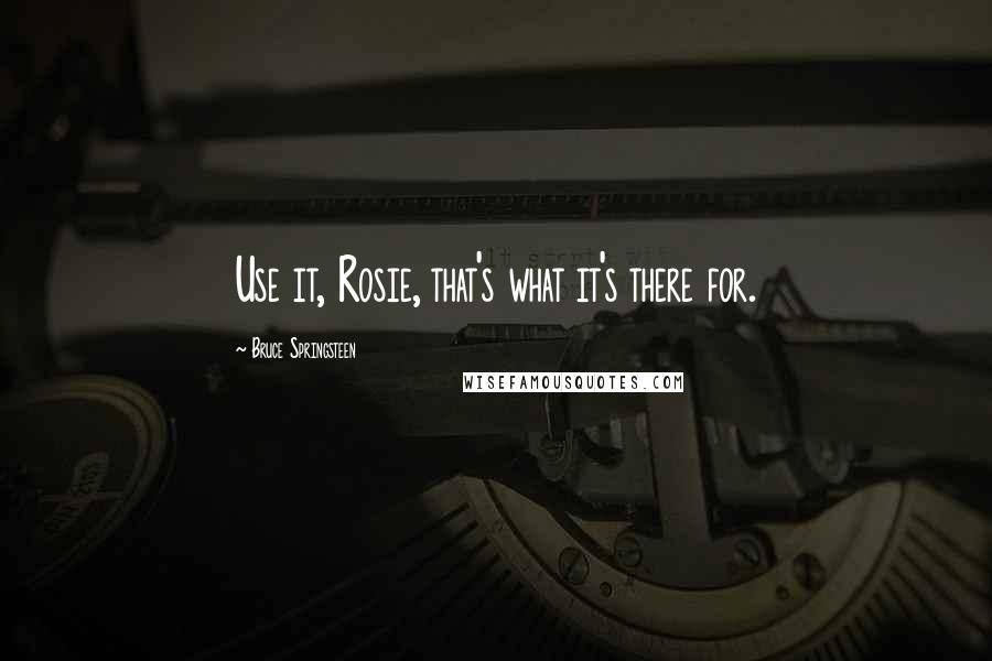 Bruce Springsteen Quotes: Use it, Rosie, that's what it's there for.