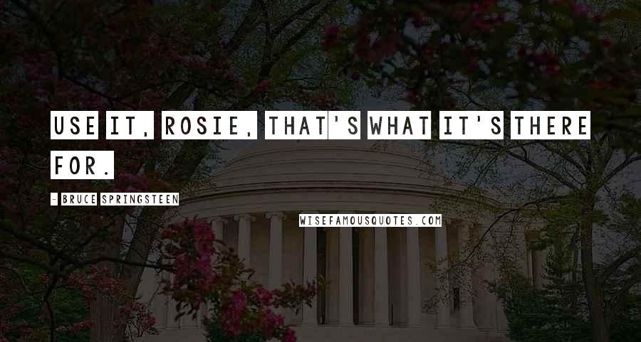 Bruce Springsteen Quotes: Use it, Rosie, that's what it's there for.