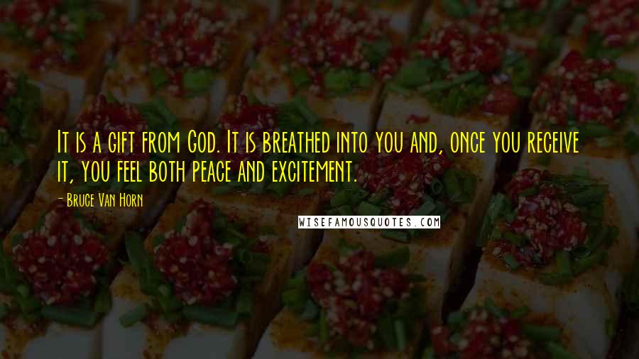Bruce Van Horn Quotes: It is a gift from God. It is breathed into you and, once you receive it, you feel both peace and excitement.