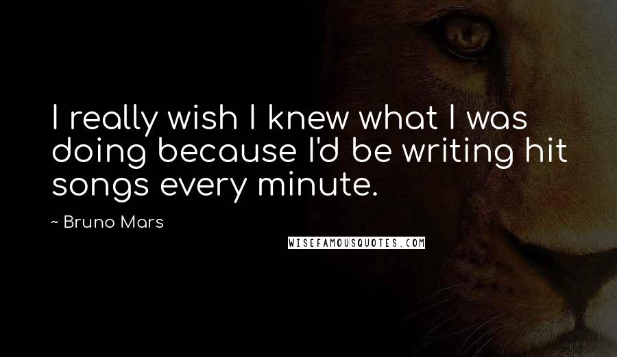 Bruno Mars Quotes: I really wish I knew what I was doing because I'd be writing hit songs every minute.