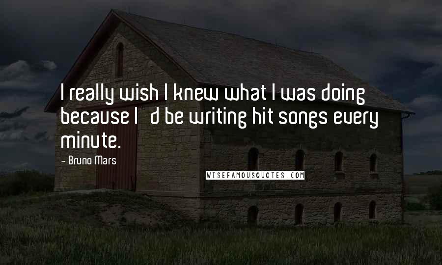 Bruno Mars Quotes: I really wish I knew what I was doing because I'd be writing hit songs every minute.