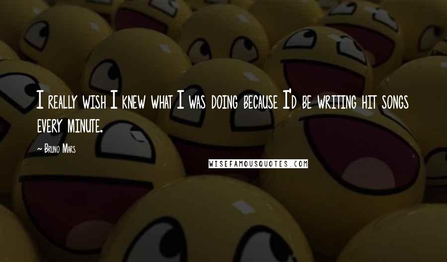 Bruno Mars Quotes: I really wish I knew what I was doing because I'd be writing hit songs every minute.