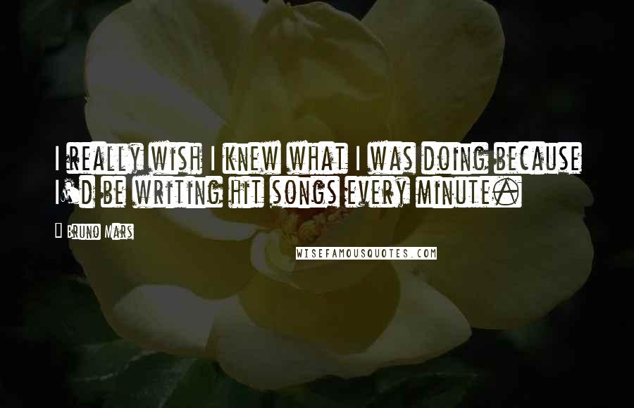 Bruno Mars Quotes: I really wish I knew what I was doing because I'd be writing hit songs every minute.