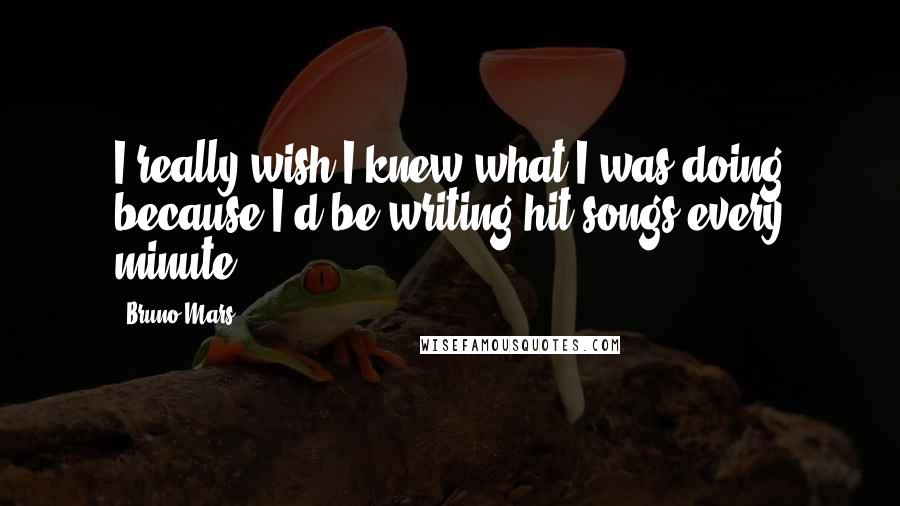 Bruno Mars Quotes: I really wish I knew what I was doing because I'd be writing hit songs every minute.