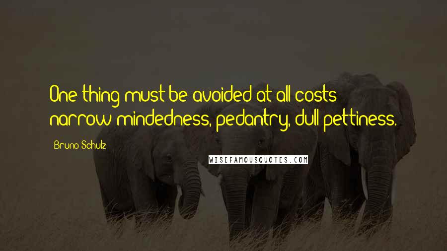 Bruno Schulz Quotes: One thing must be avoided at all costs: narrow-mindedness, pedantry, dull pettiness.