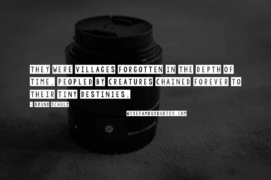 Bruno Schulz Quotes: They were villages forgotten in the depth of time, peopled by creatures chained forever to their tiny destinies.