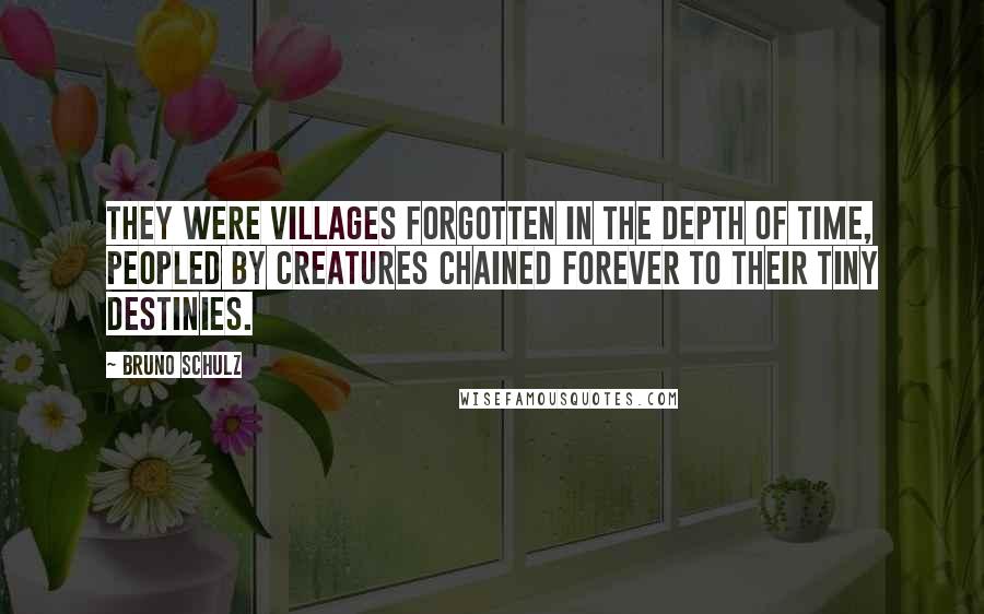 Bruno Schulz Quotes: They were villages forgotten in the depth of time, peopled by creatures chained forever to their tiny destinies.