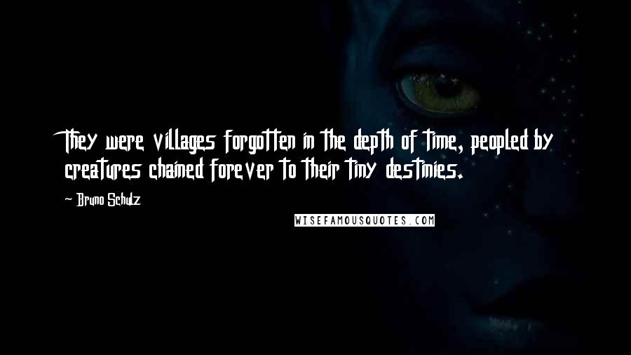 Bruno Schulz Quotes: They were villages forgotten in the depth of time, peopled by creatures chained forever to their tiny destinies.