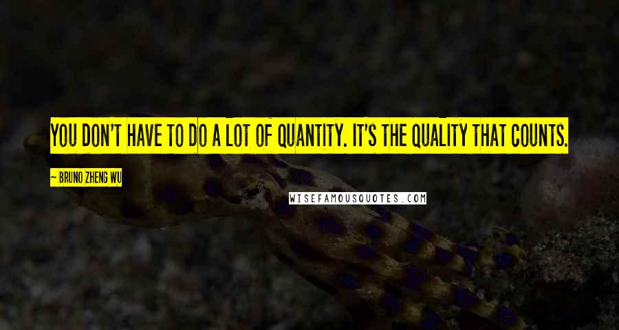 Bruno Zheng Wu Quotes: You don't have to do a lot of quantity. It's the quality that counts.