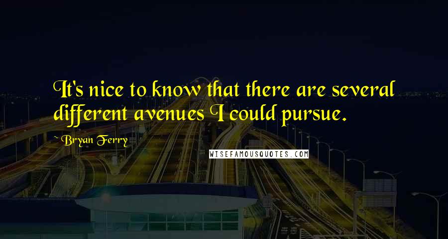 Bryan Ferry Quotes: It's nice to know that there are several different avenues I could pursue.