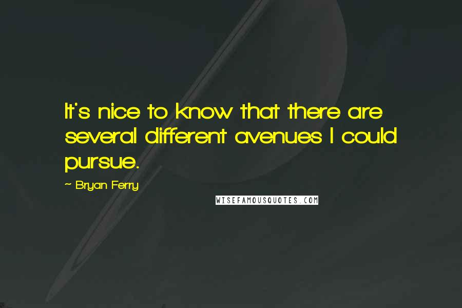 Bryan Ferry Quotes: It's nice to know that there are several different avenues I could pursue.