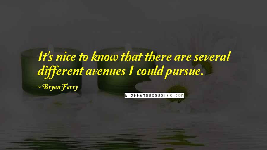 Bryan Ferry Quotes: It's nice to know that there are several different avenues I could pursue.