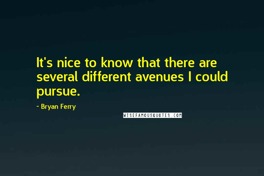 Bryan Ferry Quotes: It's nice to know that there are several different avenues I could pursue.